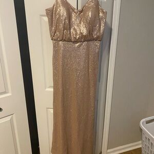 Bari Jay Champagne Sequin Dress Size 16